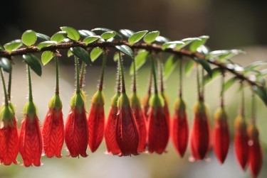 东莞桥头私人快速借钱网，轻松解决资金难题