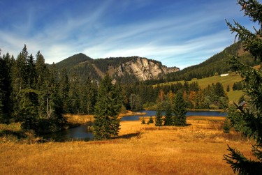 东莞桥头民间私贷攻略：揭秘低成本借贷的秘密