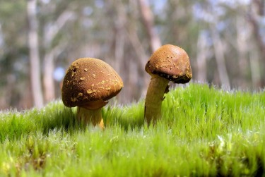 东莞桥头私人老板放款：轻松融资的秘密通道